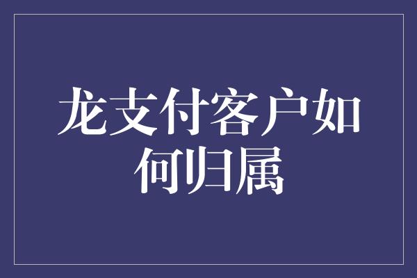 龙支付客户如何归属