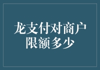 龙支付限额：商户的烦恼与对策