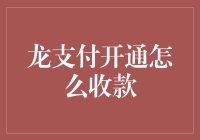 开通龙支付，从收款到发工资，带你体验钞能力