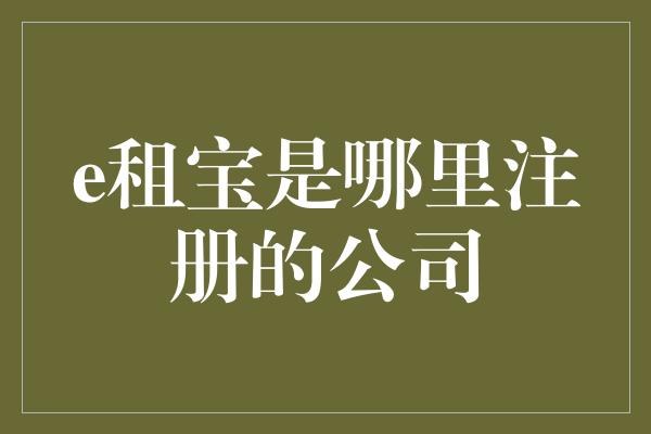 e租宝是哪里注册的公司