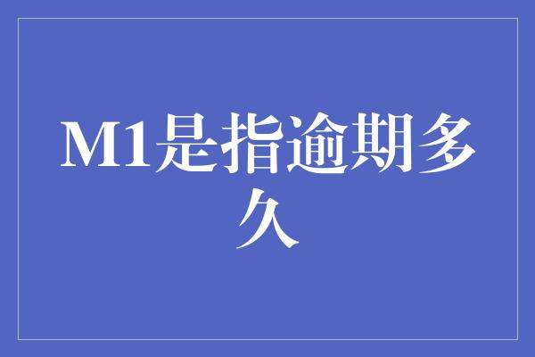 M1是指逾期多久