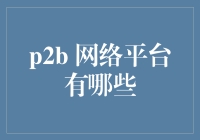 当前P2B网络平台解析：合作创新引领未来