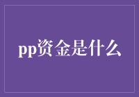 PP资金：普惠金融新风向标