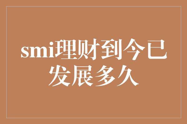 smi理财到今已发展多久