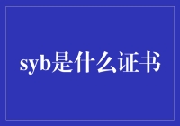 SYB证书：创业与职业发展的催化剂