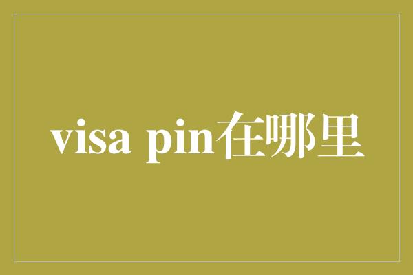 visa pin在哪里