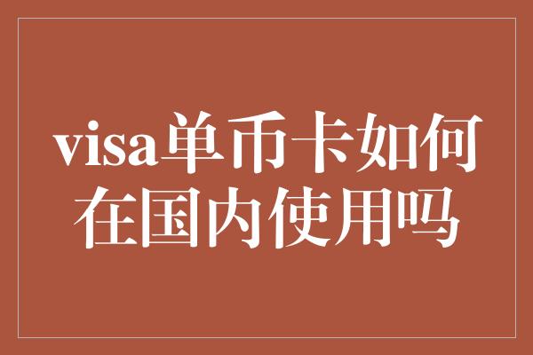 visa单币卡如何在国内使用吗