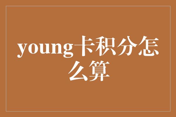 young卡积分怎么算